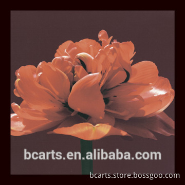 01HTP (1005) Modern Rose canvas print on canvas for bedroom decoration